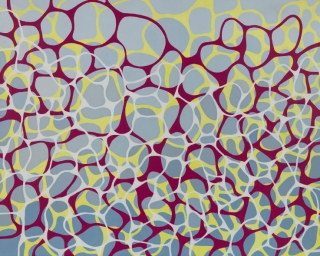 AgrandarImgen
