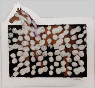 AgrandarImgen